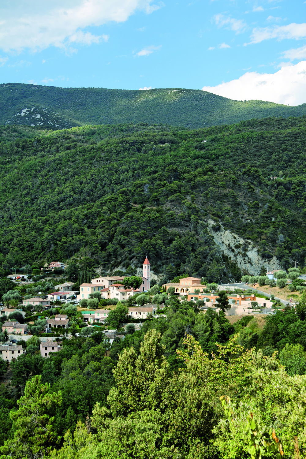 clocher eglise metropole