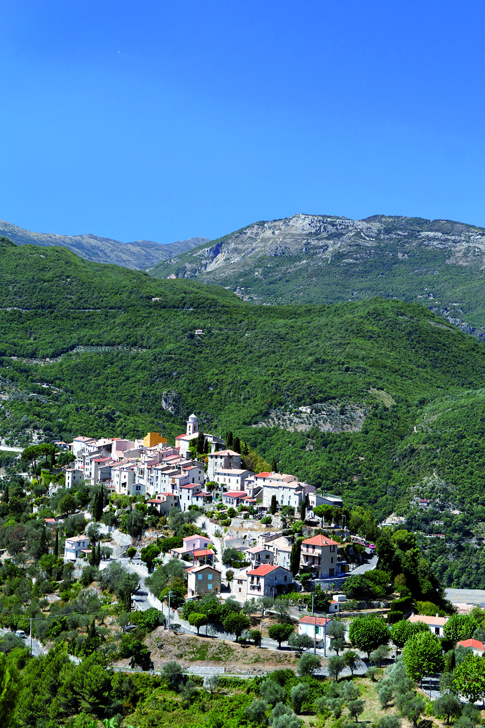 clocher eglise metropole
