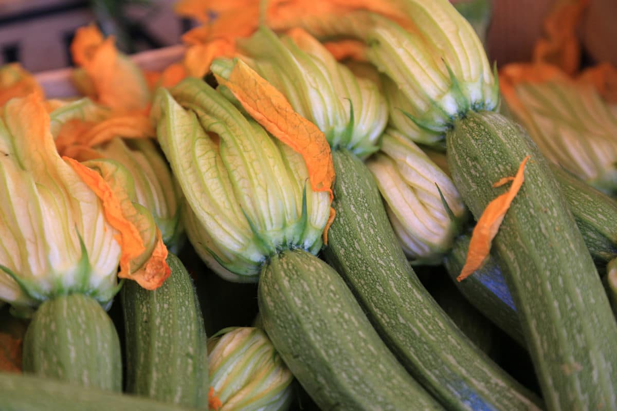 Marché aux légumes, Nice Côte d'Azur