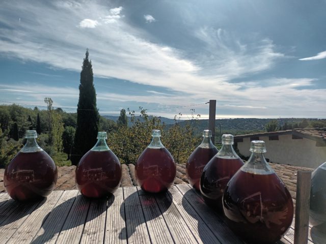 Vignoble Rasse Saint-Jeannet